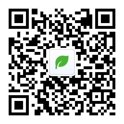 和洽绿叶助手